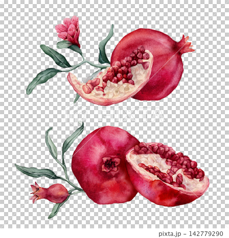 Pomegranate Fruit Branch and halved pomegranate showing red arils. Hand drawn watercolor illustration of red tropical with green leaves Food on isolated background. Drawing sketch of juicy for menu. Pomegranate Fruit Branch and halved pomegranate showing red arils. Hand drawn watercolor illustration of red tropical with green leaves Food on isolated background. Drawing sketch of juicy for menu. 142779290
