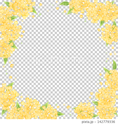 Osmanthus (square) 1 Osmanthus (square) 1 142779336