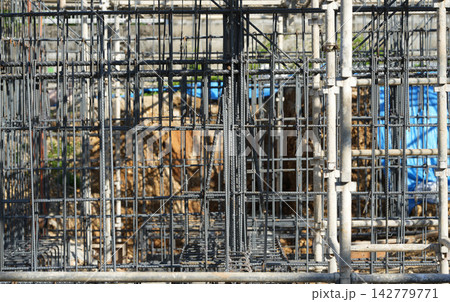 施工中の鉄筋の組み立てと構造躯体 施工中の鉄筋の組み立てと構造躯体 142779771