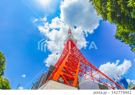 東京タワーの青空 142779981