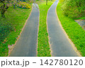 分岐する小道（分かれ道） 142780120