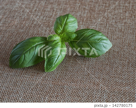 Fresh Basil Leaves on Rustic Burlap Background - for culinary, healthy food and Mediterranean cuisine concepts. Fresh Basil Leaves on Rustic Burlap Background - for culinary, healthy food and Mediterranean cuisine concepts. 142780175