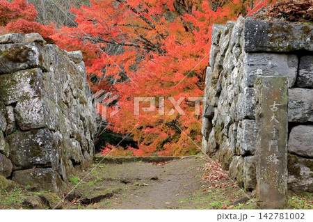 城跡の秋 城跡の秋 142781002