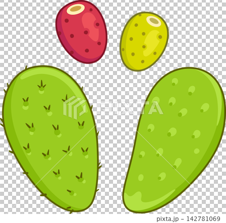 Nopal cactus and prickly pears drawing set Nopal cactus and prickly pears drawing set 142781069