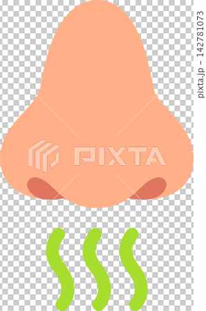 Nose and smelling icon Nose and smelling icon 142781073