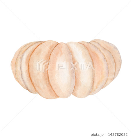 Beige pumpkin watercolor isolated on white background. Hand-painted autumn harvest illustration, perfect for Thanksgiving, Halloween, seasonal decor, cards, invitations, posters, and digital designs 142782022