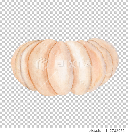 Beige pumpkin watercolor isolated on white background. Hand-painted autumn harvest illustration, perfect for Thanksgiving, Halloween, seasonal decor, cards, invitations, posters, and digital designs 142782022