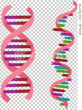 dna vs rna dna vs rna 142782750