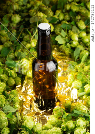 Brown Glass Beer Bottle Surrounded by Fresh Hops Flowers on Golden Foil Surface 142783113