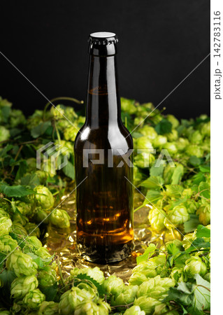 Amber glass bottle of beer surrounded by fresh green hops on textured golden surface 142783116