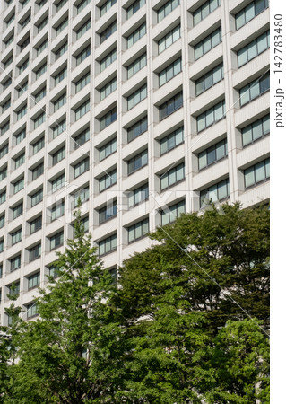 東京 霞が関 官庁街の高層ビルの風景 東京 霞が関 官庁街の高層ビルの風景 142783480