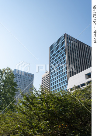東京 霞が関 官庁街の高層ビルの風景 東京 霞が関 官庁街の高層ビルの風景 142783486