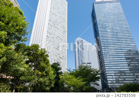 東京 新宿の高層ビルを望む街路樹と都市風景 東京 新宿の高層ビルを望む街路樹と都市風景 142783550