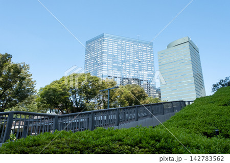 東京 新宿の高層ビルを望む街路樹と都市風景 142783562