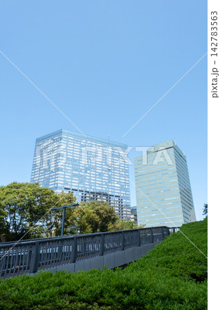 東京 新宿の高層ビルを望む街路樹と都市風景 東京 新宿の高層ビルを望む街路樹と都市風景 142783563