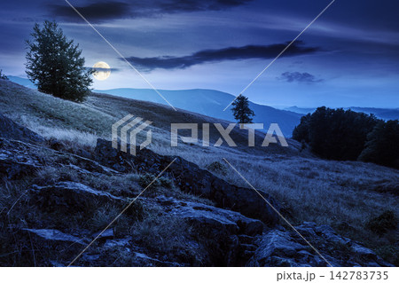 mountain field at night. full moon over countryside late summer view with beech forest on the grassy hill. fluffy clouds on a dark sky. mysterious nature background mountain field at night. full moon over countryside late summer view with beech forest on the grassy hill. fluffy clouds on a dark sky. mysterious nature background 142783735