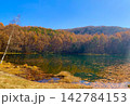 紅葉と青空が映える水辺の背景 142784153