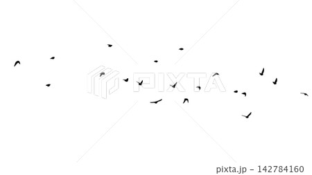 Flying birds silhouette flock. hand drawing. Not AI. Vector illustration Flying birds silhouette flock. hand drawing. Not AI. Vector illustration 142784160