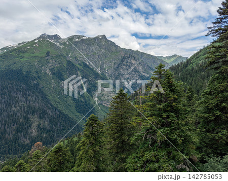 Mountain and tree scenic view Mountain and tree scenic view 142785053