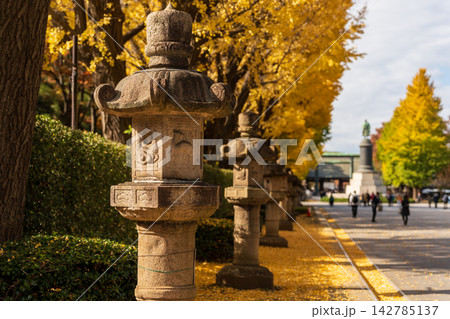 靖国神社 秋の黄色い銀杏並木の参道。千代田区、東京都、日本 靖国神社 秋の黄色い銀杏並木の参道。千代田区、東京都、日本 142785137