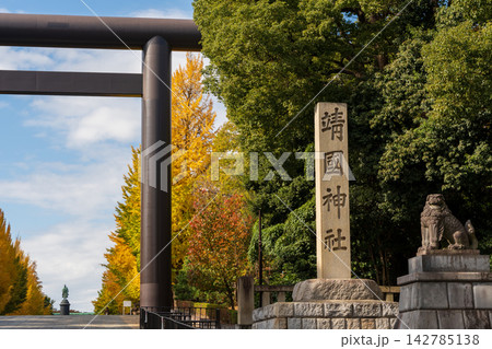 靖国神社参道の大鳥居と秋の黄金色に染まる銀杏並木。千代田区、東京都、日本 靖国神社参道の大鳥居と秋の黄金色に染まる銀杏並木。千代田区、東京都、日本 142785138