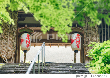 【滋賀県東近江市】金剛輪寺 二天門と新緑 【滋賀県東近江市】金剛輪寺 二天門と新緑 142785335