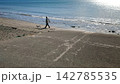 鎌倉の海岸を犬と散歩 142785535