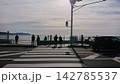 鎌倉の海岸を夕方散歩する人々 142785537