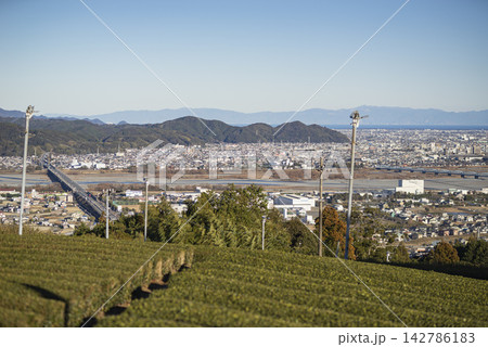 島田市から望む冬の茶畑越しの大井川流域 島田市から望む冬の茶畑越しの大井川流域 142786183