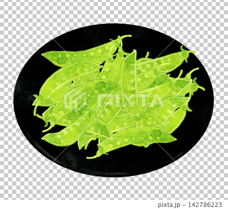 Snow peas (snow peas) served on a black plate - Hand-drawn watercolor illustration material Snow peas (snow peas) served on a black plate - Hand-drawn watercolor illustration material 142786223