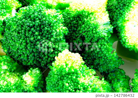 白を背景に鮮やかな色の茹でたシンプルなブロッコリー 白を背景に鮮やかな色の茹でたシンプルなブロッコリー 142786432