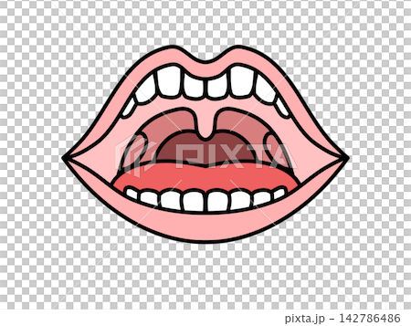 Illustration of oral cavity Illustration of oral cavity 142786486
