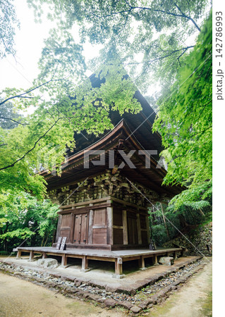 【滋賀県東近江市】金剛輪寺　新緑と三重塔 142786993