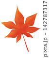 紅葉 142787317