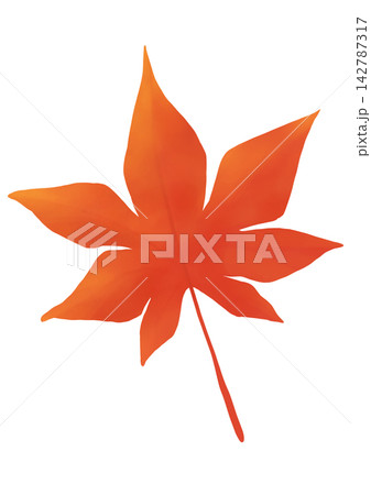 紅葉 142787317