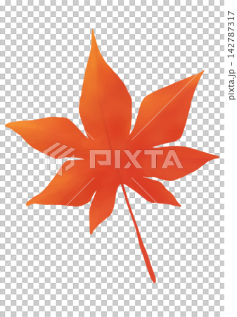 紅葉 142787317