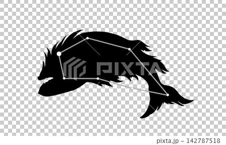みなみのうお座のシルエット（星座絵と星座線） 142787518