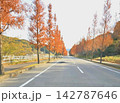 紅葉した並木道 142787646