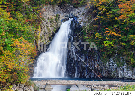 日本の滝百選 法体の滝 秋の気配 秋田県 日本の滝百選 法体の滝 秋の気配 秋田県 142788197