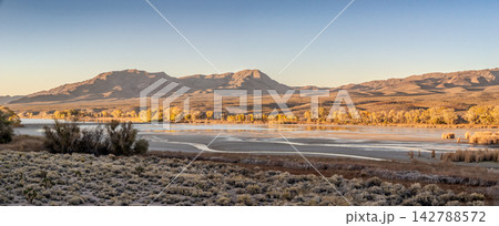 Pahranagat Lake Nevada at Golden Hour with Desert Mountains and Autumn Trees 142788572