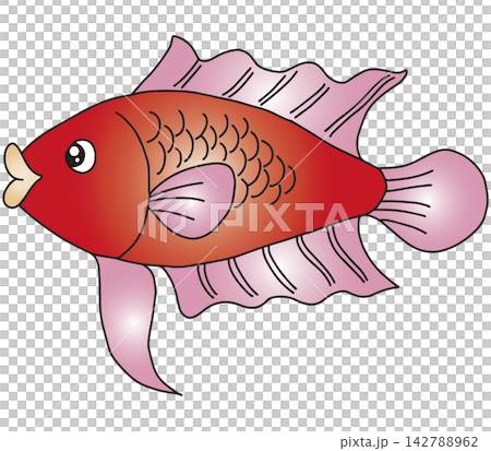 手繪魚插畫☆金魚 手繪魚插畫☆金魚 142788962