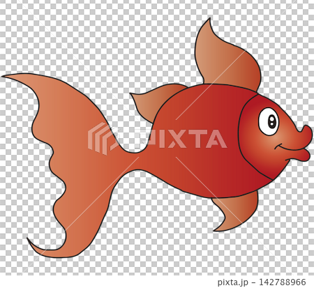 手繪魚插畫☆金魚 142788966