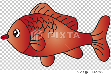 Hand-drawn fish illustration ☆ Goldfish 142788968