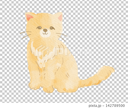 A watercolor-style illustration of a sitting brown cat. A watercolor-style illustration of a sitting brown cat. 142789500