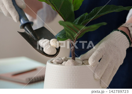Close up of gloved hands using hand trowel to decorate potted houseplant with stones Close up of gloved hands using hand trowel to decorate potted houseplant with stones 142789723
