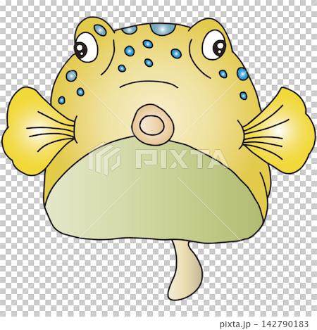 手繪動物插畫 ☆ 河豚 手繪動物插畫 ☆ 河豚 142790183