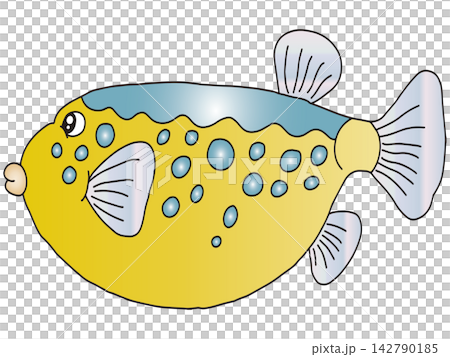 Hand-drawn animal illustration ☆ Pufferfish Hand-drawn animal illustration ☆ Pufferfish 142790185