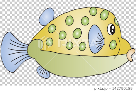 手繪動物插畫 ☆ 河豚 手繪動物插畫 ☆ 河豚 142790189