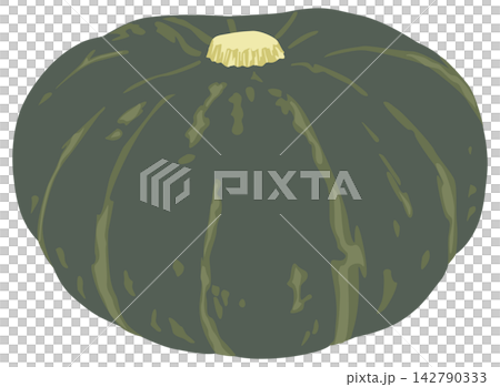 Pumpkin illustration Pumpkin illustration 142790333