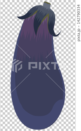Eggplant illustration Eggplant illustration 142790334